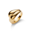 Tryvann Trail Ring Goldplated Silver