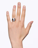 Dolphin Ring Silver