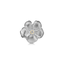 Anemone W/Cz, Silver Lock
