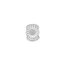 MARGUERITE TRIANGLE