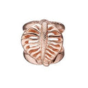 Sparkling Leaf rose - forgyldt sølv charm - 630-R126