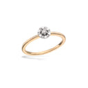 Ring 0,10 H-W/SI rd/hv 14 kt