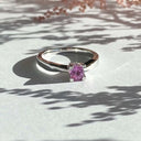 La Vie en Rose Kleopatra ring 0,40 pink safir 14 karat hvidguld