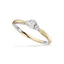 Ring 0,18 (oval)+2*0,04  H-W/SI  rd/hv14 kt