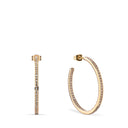 Arctic Symphony | poleret guld | 731-27-05