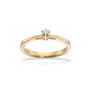 Prinsesse ring 0,03 H-W/VVS 14 kt
