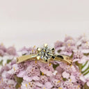 Prinsesse ring 0,30 H-W/VVS 14 kt