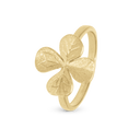 Four Leaf Clover