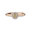 14kt. Bernadotte ring med 0,25ct. champagne + 0,12ct. W-si
