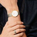 Titanium | poleret guld | 19334-010