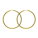 Amira hoops